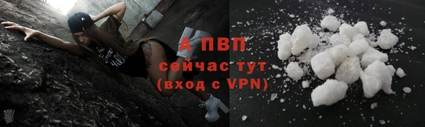 дмт Абаза