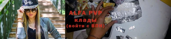 дмт Абаза