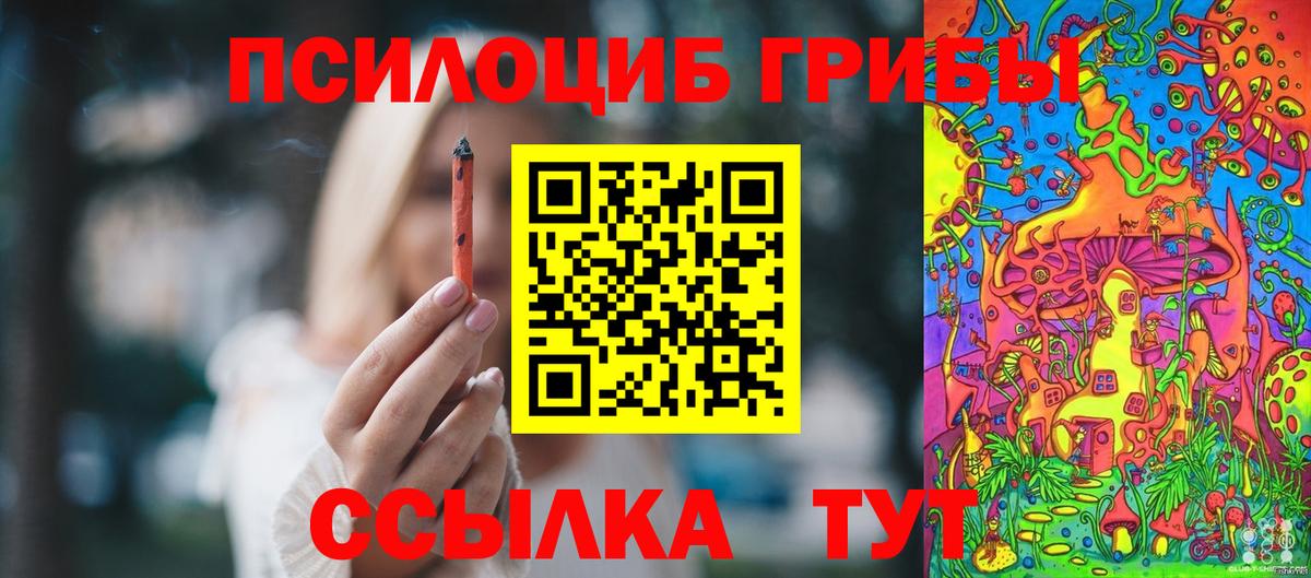 купить   Галлюциногенные грибы прущие грибы  Вход с VPN  Североморск 