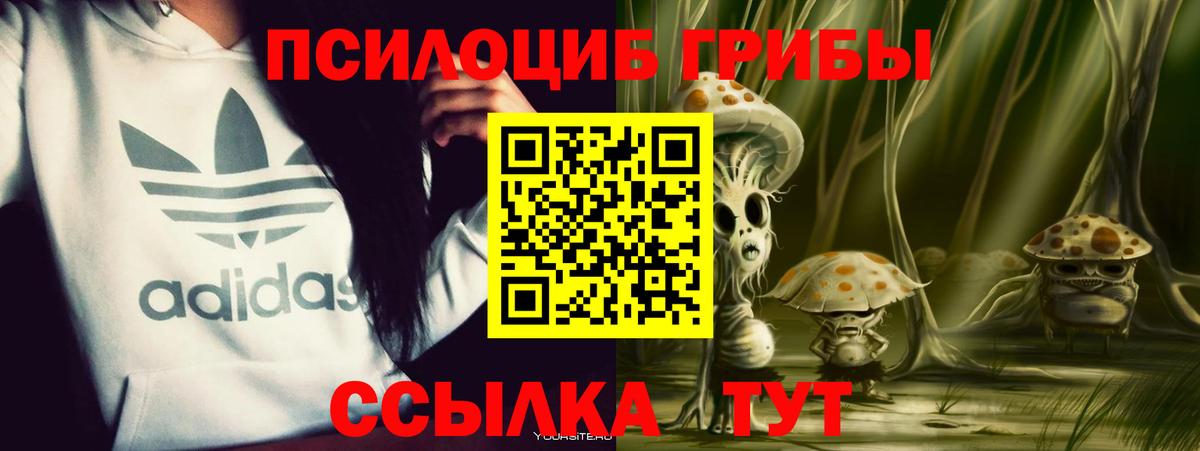Галлюциногенные грибы мухоморы Североморск